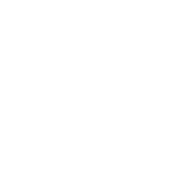 Article 41