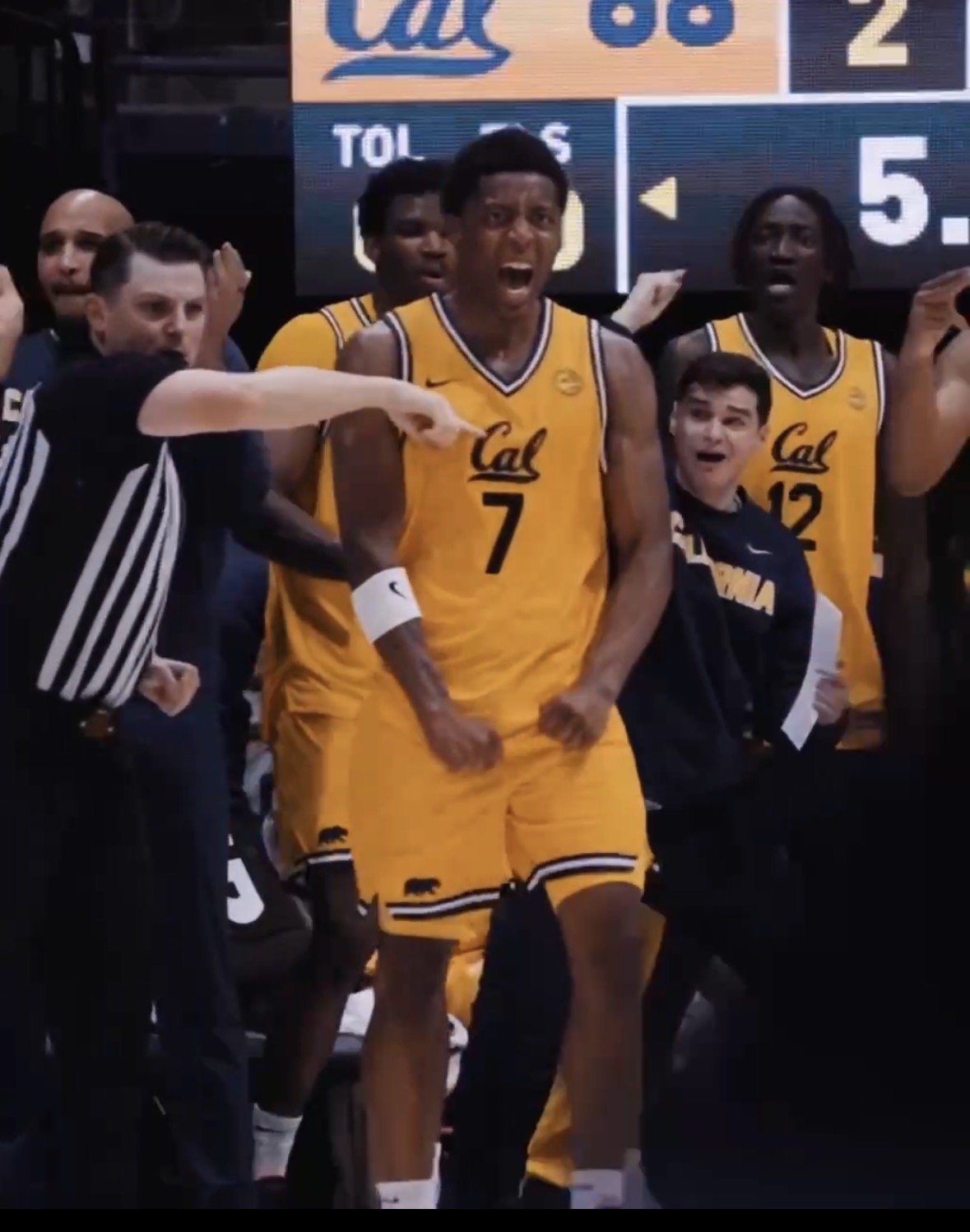 CAL Bball Vault